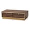 Baxton Studio Cormac Transitional Walnut Brown Finished Wood and Gold Metal 2-Drawer Coffee Table 208-12136 - alternate 6